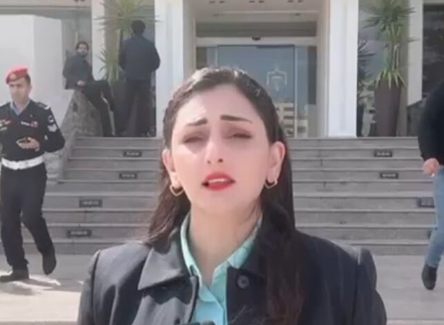 رحاب القضاة