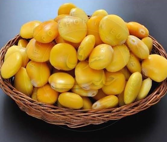 حب الترمس. تعبيرية
